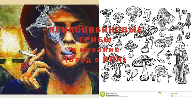 Псилоцибиновые грибы Cubensis  omg рабочий сайт  Добрянка  купить закладку 